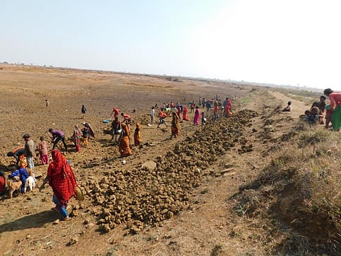 Field photographs: Author provided