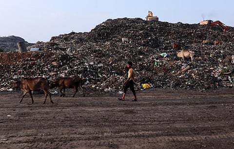 India has more than 3,000 legacy dumpsites and at the current rate of biomining, it will take several years to completely eliminate them. Photo: iStock