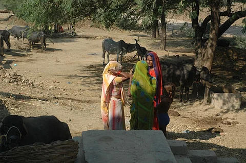 केमिकल युक्त पानी को चंबल में छोड़ रही ग्रासिम इंडस्ट्री, एनजीटी ने दिए जांच के दिए निर्देश