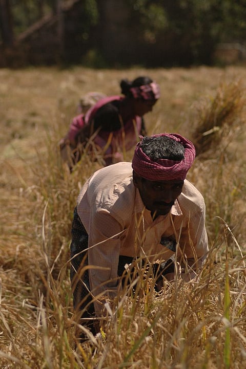 समय से किराया न देने पर कृषि काश्तकार को खेत से बेदखल कर सकता है जमींदार : सुप्रीम कोर्ट