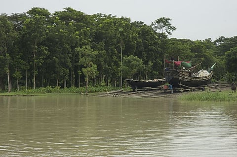 Natural wealth of the nations