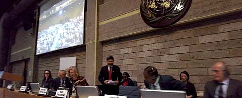 The Nairobi UN Biodiversity Meetings, 26th session of SBSTTA and 4th session of SBI met to advance progress on the Biodiversity Plan.