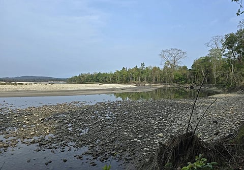 Kameng river, also known as Jiabharali, in Nameri National Park, Assam.