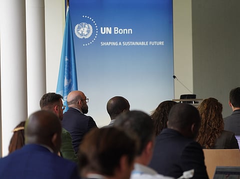 The Sharm el-Sheikh Dialogue’s first workshop of the year was held over the last two days of the Bonn Climate Change Conference.