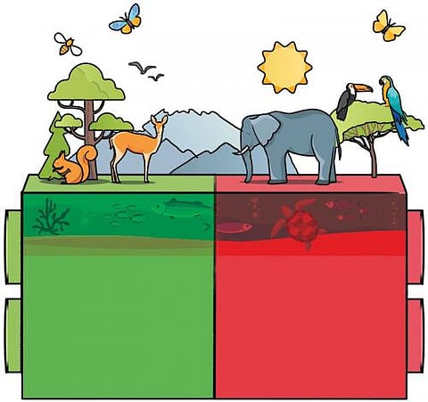 New Government’s Agenda: Conserve now