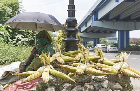 Malati did not want to be photographed. Like Malati in Sambalpur, this female vendor sits near a flyover in Kolkata, trying to sell corn cobs. She is shielding her head from the sun with an umbrella.