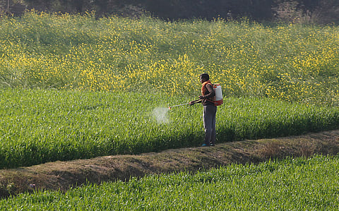 DDT was mostly used in agriculture.