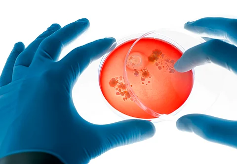 Photo for representation: iStock