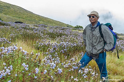 The late A J T Johnsingh