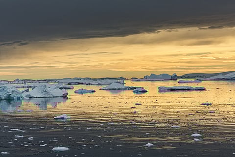 How glacier algae are challenging the way we think about evolution