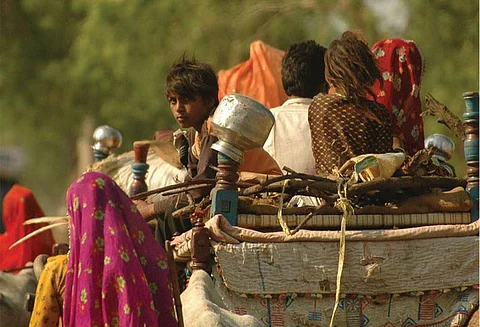 Climate change is a prominent cause of forced migration and is predicted to contribute to dramatic increases in the displacement of vulnerable people and other species over the coming decades. Photo: Agnimirh Basu / CSE