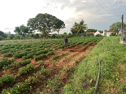 A farmer in Chikati village.