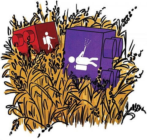 New Government’s Agenda: Fix our food