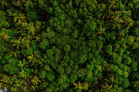 Donating to charities that support projects helping communities build climate resilience is a powerful way to make a positive impact