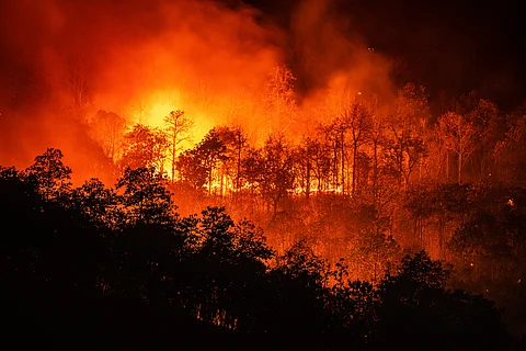 The new guidelines give equal importance to both scientific approaches and traditional knowledge in addressing forest fires