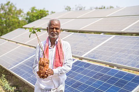 Agrovoltaics are a sustainable solution to India's solar energy land-use challenges