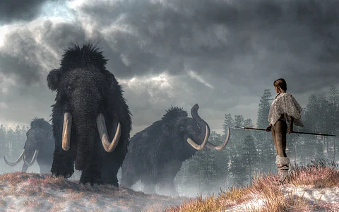 Ancient humans may have hunted 150 large animal species to extinction over 50,000 years, suggests study