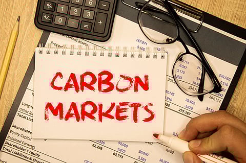 Economic Survey 2024 raises questions on India’s voluntary carbon market; double accounting & expensive emission reduction activities are concerns