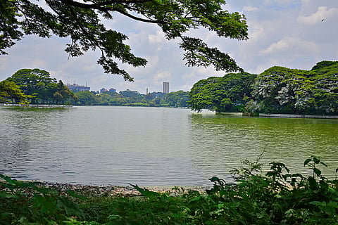 A view of Ulsoor lake in bengaluru, Karnataka