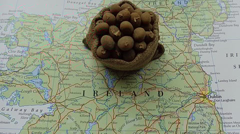 A partial map of Ireland with a miniature sack of potatoes