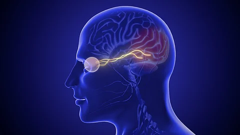 The research found semaglutide medications were significantly more likely to lead to the illness NAION, which leads to a reduction in blood flow to the optic nerve, resulting in sudden vision loss.