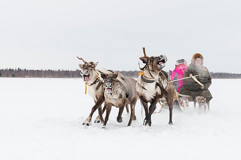 Indigenous Peoples Day 2024: First Nations’ knowledge universal; it is more important for non-indigenous people to learn, adopt & absorb it, says C R Bijoy