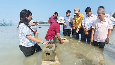 Scientists Sanjukta Sahoo and Dinabandhu Sahoo demonstrate the deployment of artificial coral reefs at Chilika lake in Odisha