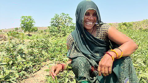 Success of Narmada landscape restoration needs payment for ecosystem services; will users pay?