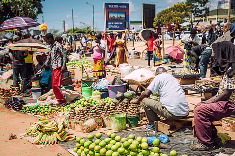 How do people choose what food to buy?
