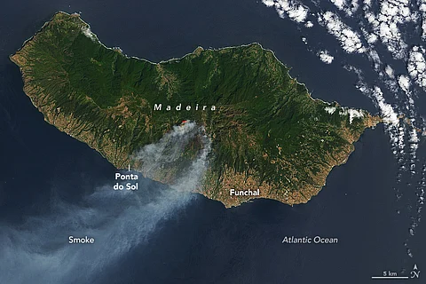 Portugal: Tourists stranded as wildfires in Madeira endanger world-heritage forests