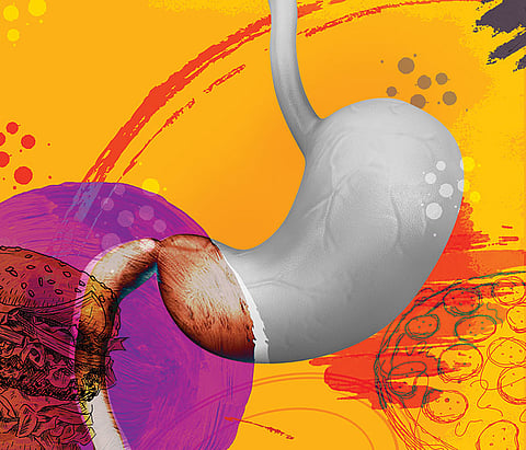 Seven Sins: Gluttony is a mostly biochemical phenomenon, says Nathan H Lents