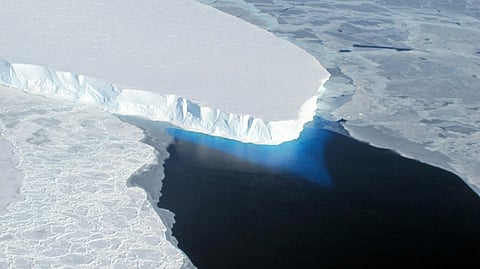 The calving front of Thwaites’ ice shelf. The blue area is light reflecting off ice below the water.