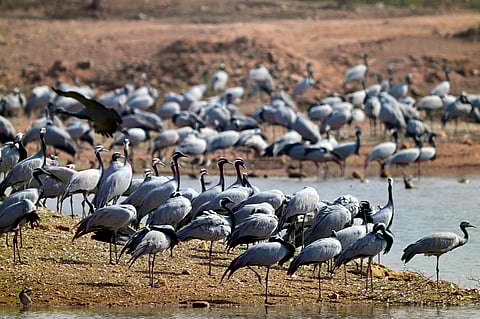 Book Review: Navigating the complex waters of wetland governance
