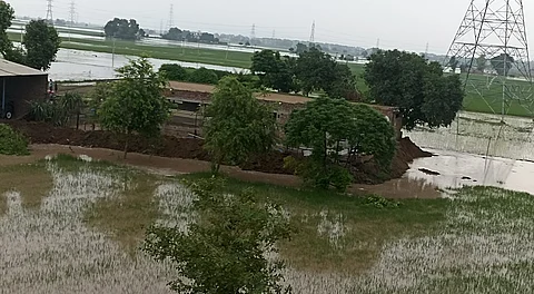 Flood waters inundating fields and houses built inside the fields of Fatehabad district, Haryana, in 2023. The district borders the Malwa region of southern Punjab.