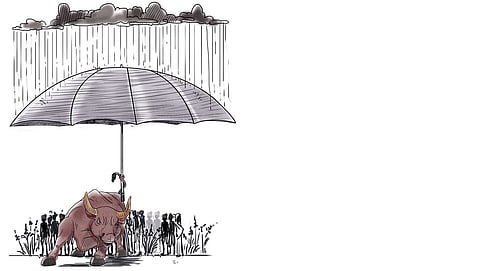 Cautious optimism: Betting on the weather can be beneficial for investors, farmers