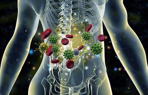 Unravelling sex differences in autoimmune diseases