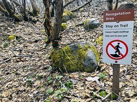 Stay on trail warning sign for revegetation area in Exit Glacier hiking trail, Fjord National Park, Seward, Alaska, US