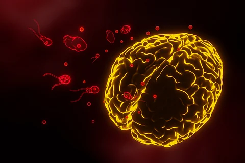 Kerala reports another death from rare brain-eating amoeba infection