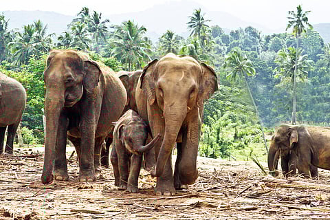Madras HC to hear petition on demolition of 35 tourism resorts