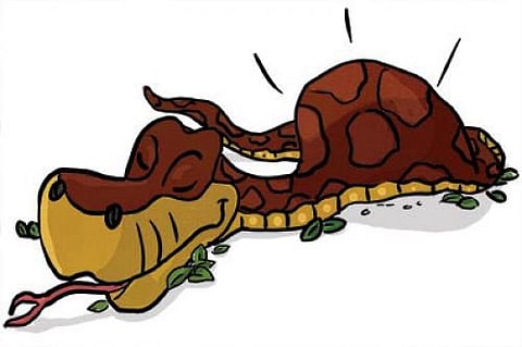 Gobar Times: Readings to remove your python piques