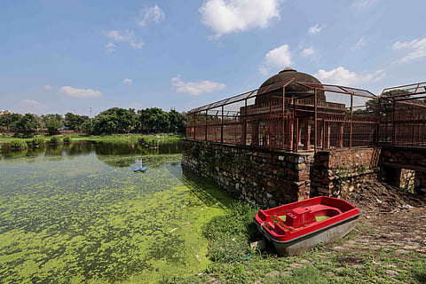 Government announces health cards for Delhi's water bodies