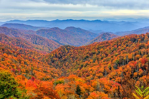 Overview of Great Smoky Mountains National Park in US