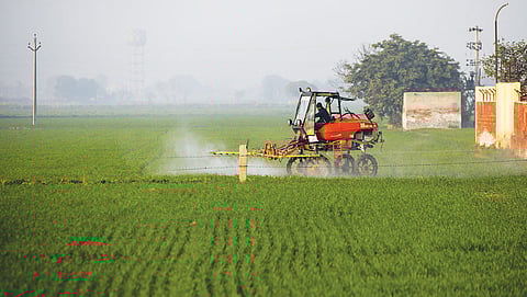In 2023-24, Punjab used 247.61 kg fertiliser per hectare, which is double
the national average