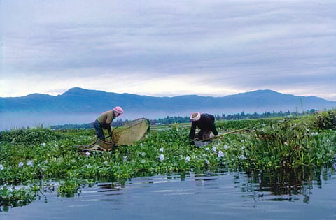Targeting ecological conservation, film festival emphasises vitality of Indian wetlands