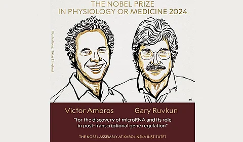 American scientists awarded Nobel Prize for discovering mechanism behind cellular protein production