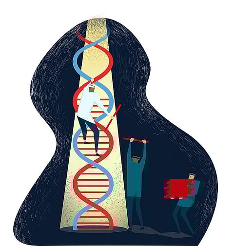 A Nobel Prize and the hunt for patents