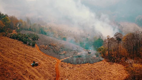 A forest fire filling an area with smok