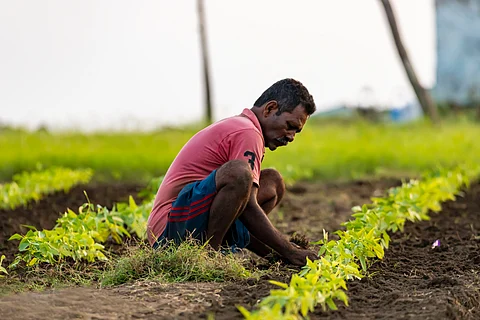 Agrarian crisis: Landholding recedes by 1/3rd, loans swell for farm households, finds NABARD survey