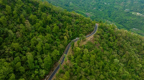 Carbon sink broken? Last year, trees and land barely absorbed any CO2