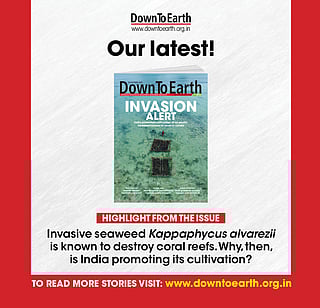 Highlights from the issue